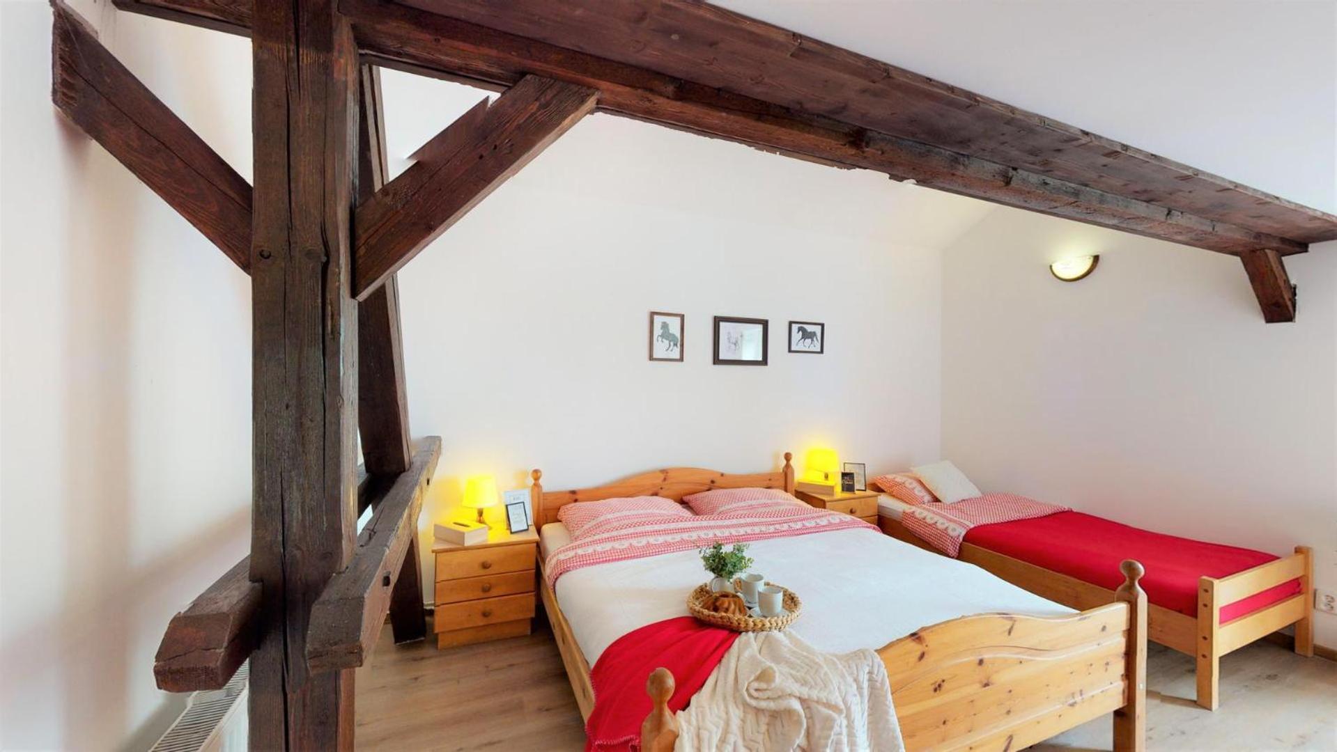 Pension U Sebastiana Hodousice Rum bild